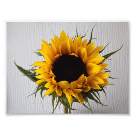 ひまわりフォトプリント フォトプリント           