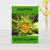 ひまわりフォト誕生日 カード (黄色い花)