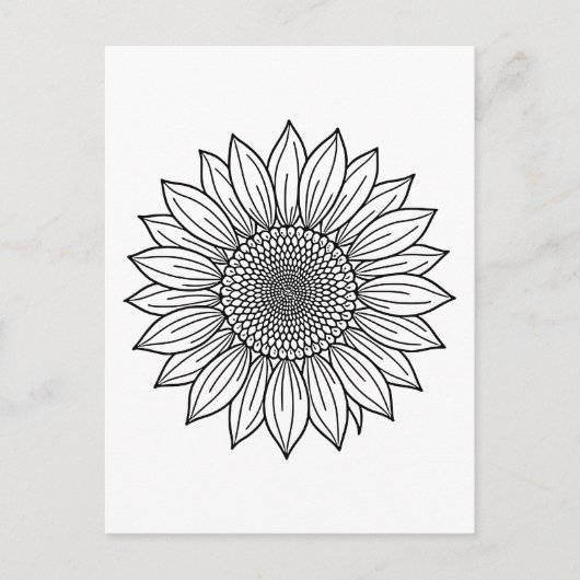 ひまわりフローライラストレーションラインアート ポストカード (正面)