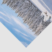 ひまわりフローラポーラベアティッシュペーパー 薄葉紙 (詳細)