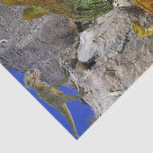 ひまわりフローラ恐竜ティッシュペーパー 薄葉紙 (詳細)