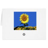 ひまわりフローラ空白のグリーティングノートカード (裏面横)