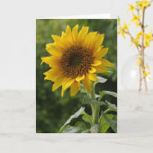 ひまわりフローラ空白のノートカード カード (黄色い花)