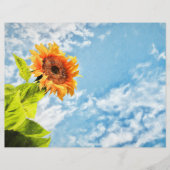 ひまわりブルースカイと雲の切り離しファインアート (正面)