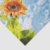 ひまわりブルースカイと雲の切り離しファインアート 薄葉紙 (詳細)