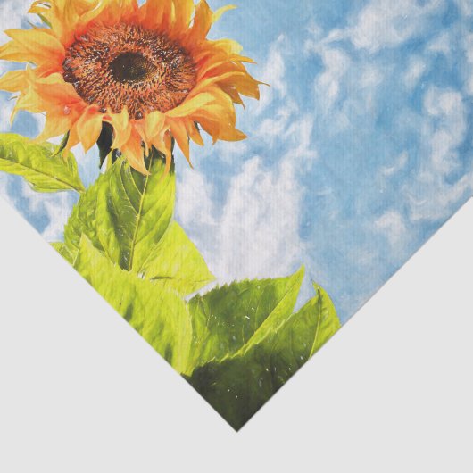 ひまわりブルースカイと雲の切り離しファインアート 薄葉紙 (詳細)