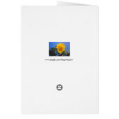 ひまわりブルースカイグリーティングカード (裏面)