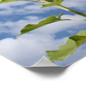 ひまわりプリント ポスター (角)