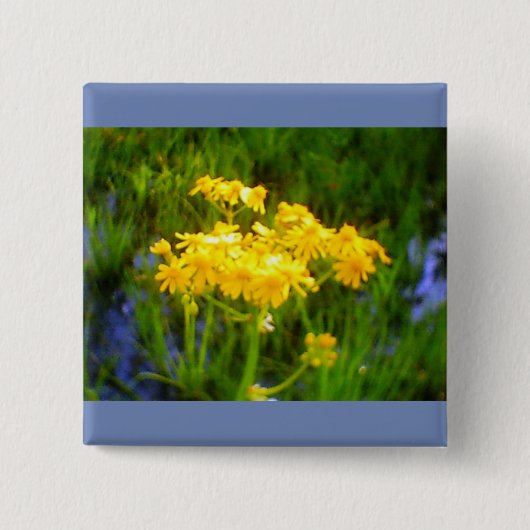 ひまわりボタン 缶バッジ (正面)