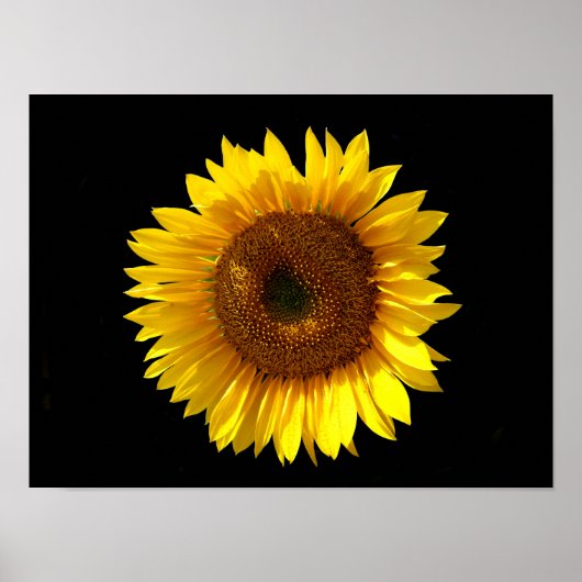 ひまわりポスター ポスター (正面)