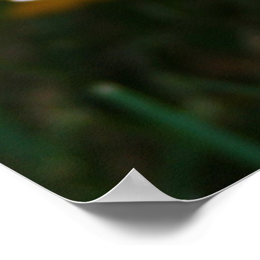 ひまわりポスター ポスター (角)