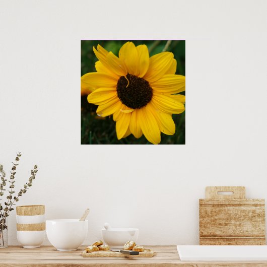 ひまわりポスター ポスター (キッチン)