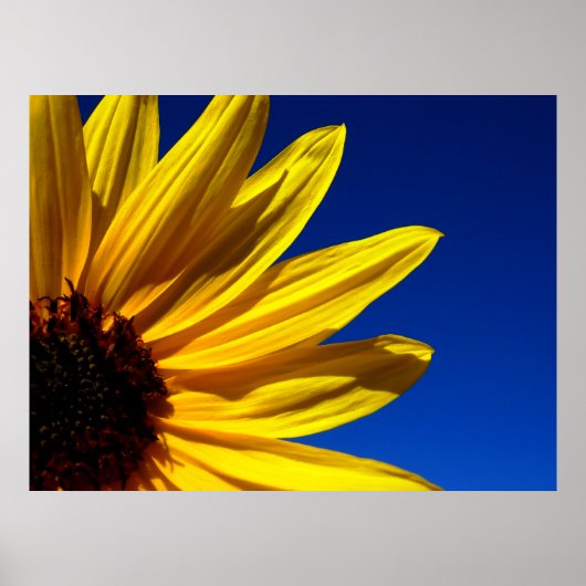 ひまわりポスター ポスター (正面)