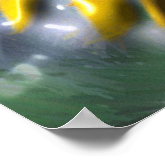 ひまわりポスター ポスター (角)