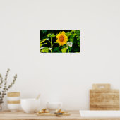 ひまわりポスター ポスター (キッチン)