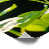 ひまわりポスター ポスター (角)