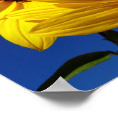 ひまわりポスター ポスター (角)