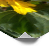 ひまわりポスター ポスター (角)