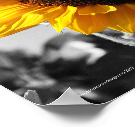 ひまわりポスター ポスター (角)