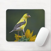 ひまわりマウスパッドの金魚 マウスパッド (マウス)