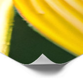 ひまわりマクロ写真のラディバグ ポスター (角)