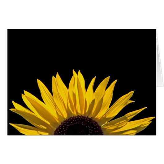 ひまわりライジングカード (正面横)