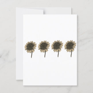 ひまわりライブ、笑い、愛 ポストカード