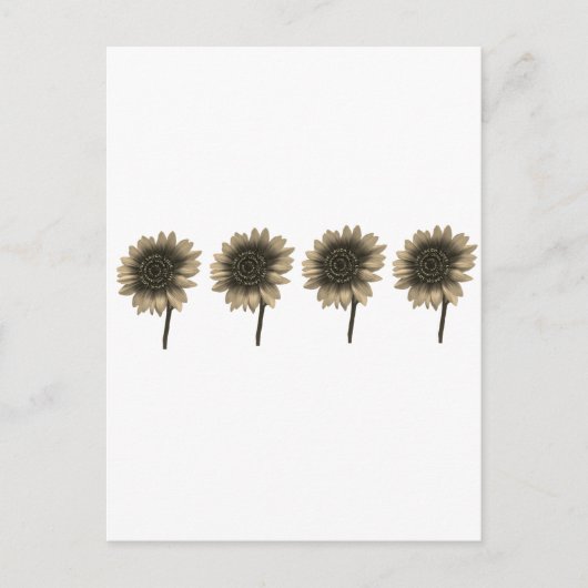 ひまわりライブ、笑い、愛 ポストカード (正面)