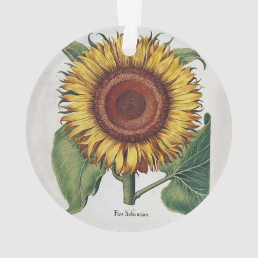 ひまわりヴィンテージダマスクフラワーアート オーナメント (裏面)