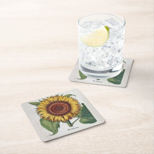 ひまわりヴィンテージダマスクフラワーアート スクエアペーパーコースター (インサイチュ)