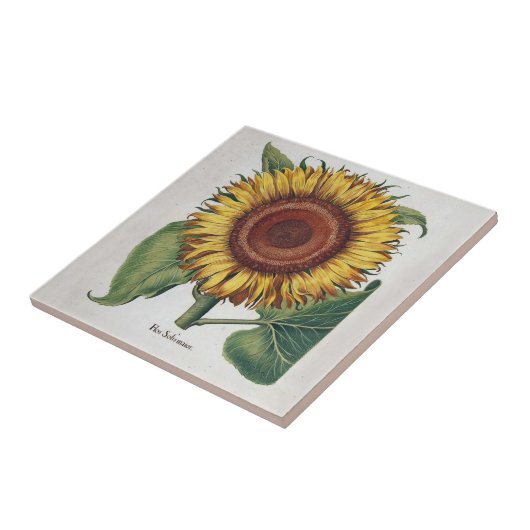 ひまわりヴィンテージダマスクフラワーアート タイル (側面)