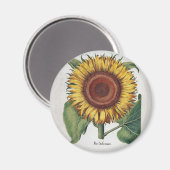 ひまわりヴィンテージダマスクフラワーアート マグネット (正面/裏面)