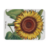 ひまわりヴィンテージダマスクフラワーアート マグネット (横)