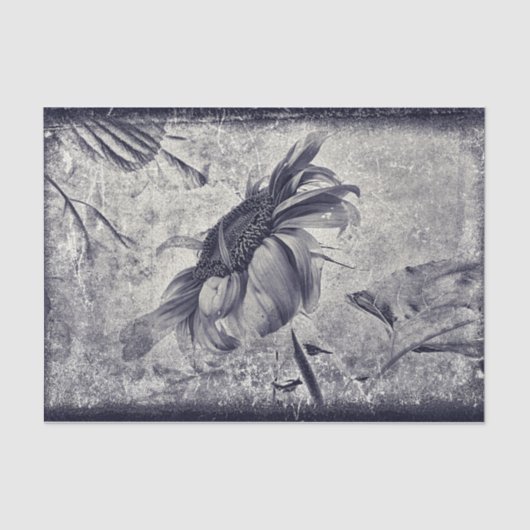 ひまわりヴィンテージ白黒アンティークテクスチャ 薄葉紙 (正面)