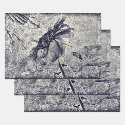 ひまわりヴィンテージ白黒アンティーク ラッピングペーパーシート (セット)