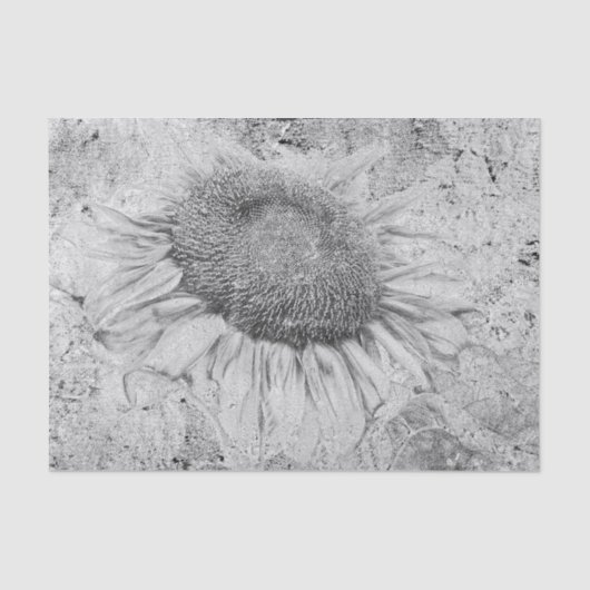 ひまわりヴィンテージ白黒動揺してテクスチャ 薄葉紙 (正面)