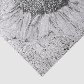 ひまわりヴィンテージ白黒動揺してテクスチャ 薄葉紙 (詳細)