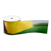 ひまわり丘 サテンリボン (リール)