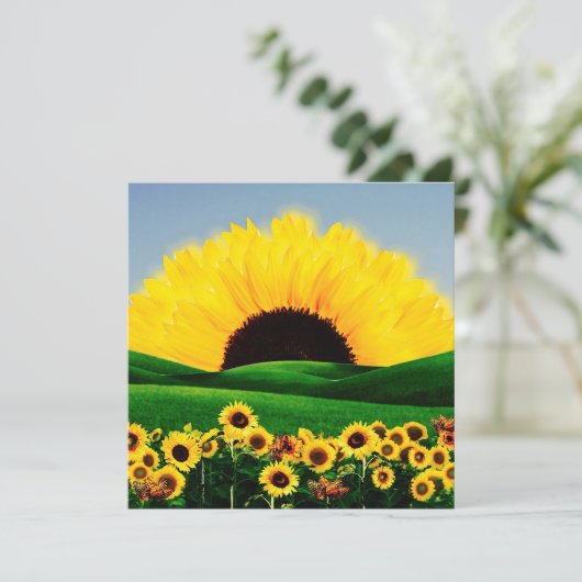 ひまわり丘 シーズンカード (スタンド正面)