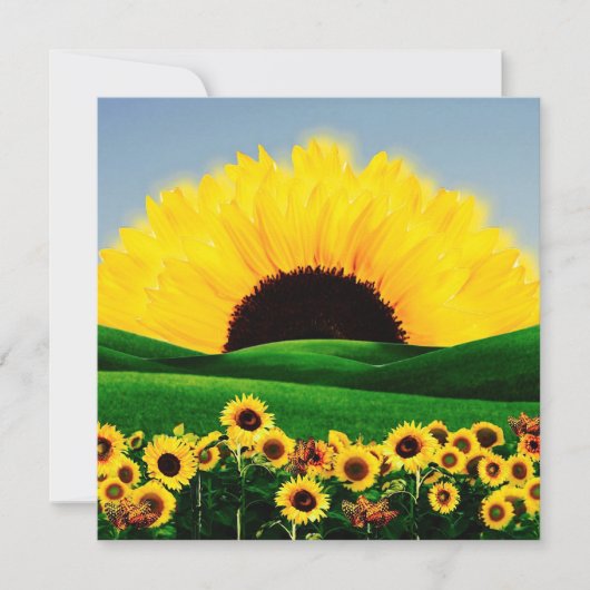 ひまわり丘 シーズンカード (正面)