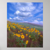 ひまわり丘、ポスター ポスター (正面)