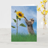 ひまわり付きタビーキャット誕生日 カード (黄色い花)