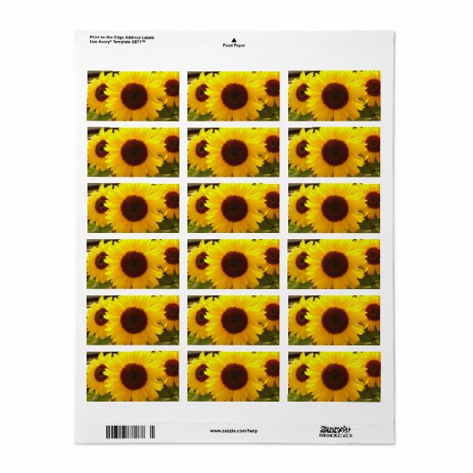 ひまわり住所 シール (フルシート)