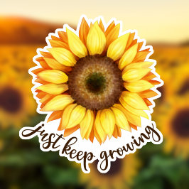 ひまわり保ステッカー「Just Growing」 シール
