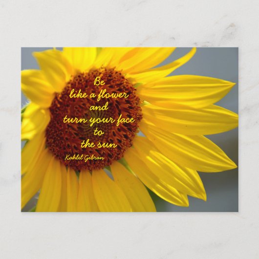 ひまわり写真のような花の引用文 ポストカード (正面)