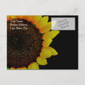 ひまわり写真カスタムウェディング日付を保存 案内ポストカード (裏面)