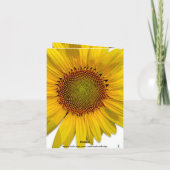 ひまわり写真サンキューカード サンキューカード (裏面)