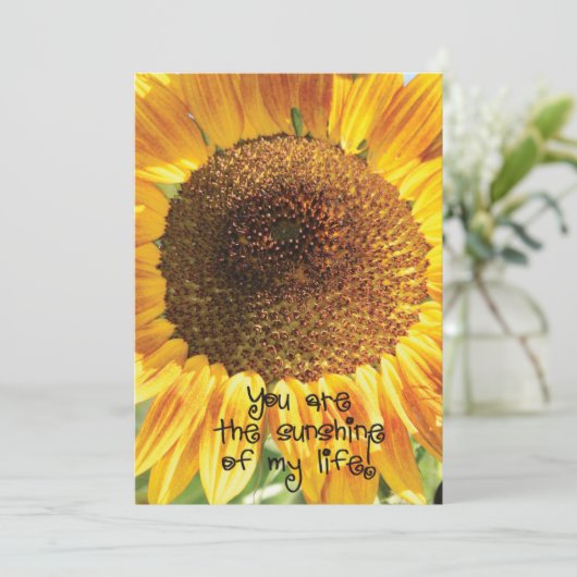 ひまわり写真 |お前が太陽の光だ サンキューカード (スタンド正面)