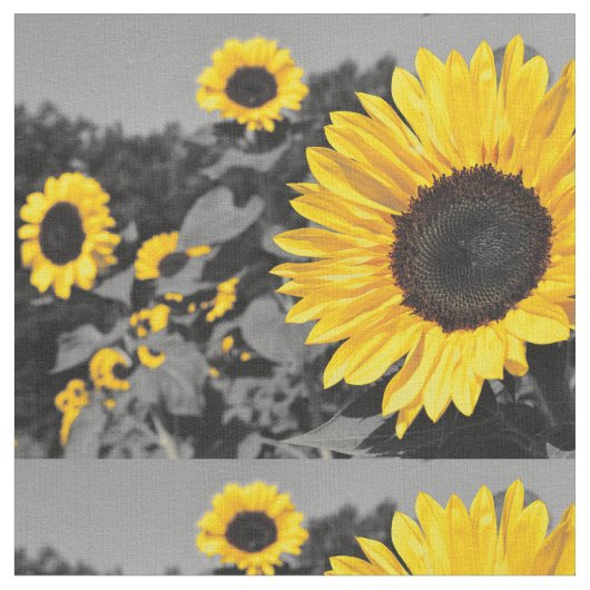 ひまわり写真 ファブリック (クローズアップ)