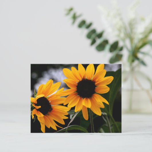 ひまわり写真 ポストカード (スタンド正面)